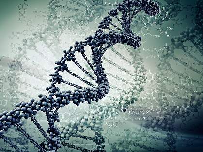 DNA strands.