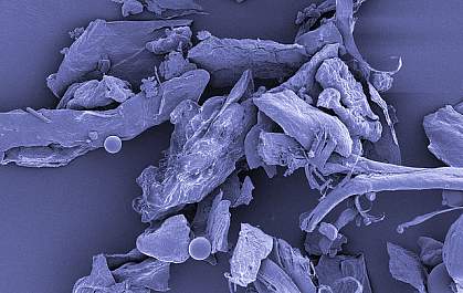 House dust, shown under high magnification.