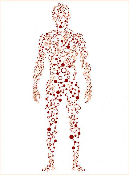 Illustration of human body with various proteins throughout.