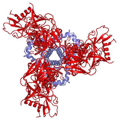 HIV molecule