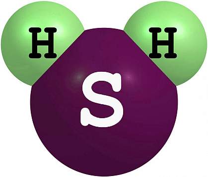 Hydrogen sulfide molecules.