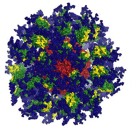 Protein nanoparticle designed to fight HIV.