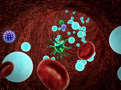 Illustration of bloodstream with microbes and immune cells