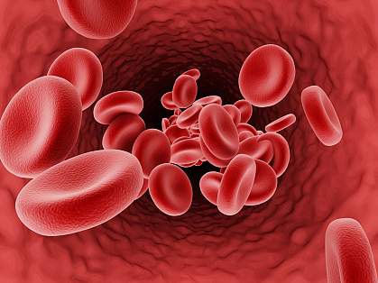 Illustration of red blood cells in a blood vessel