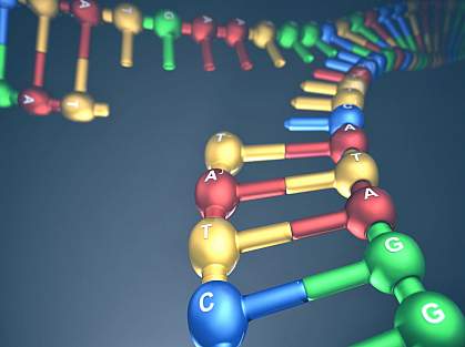 Illustration of a replication fork