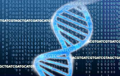 DNA double helix rests on a field of ACGTs and binary numbers.