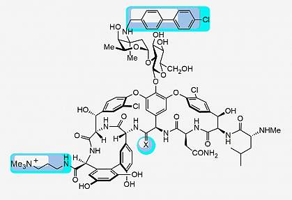 Compound 18 chemical structure.