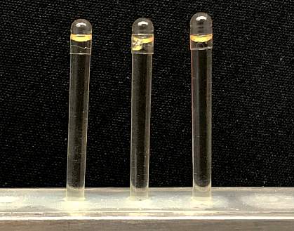 Enlarged photo of elongated capsules 