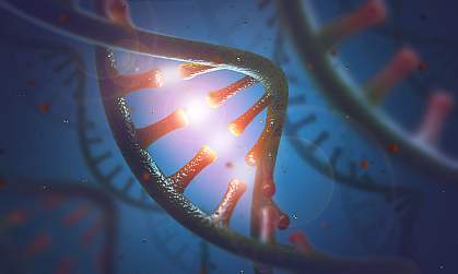 Illustration of DNA and RNA