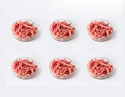 Minced red meat in Petri dishes
