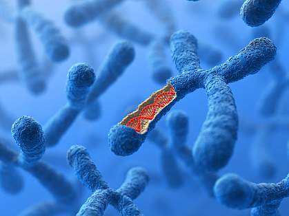 Illustration of chromosome and DNA