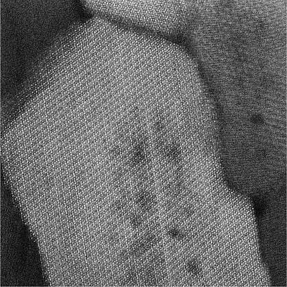 Atomic resolution scanning transmission electron microscope image of enamel crystallite core