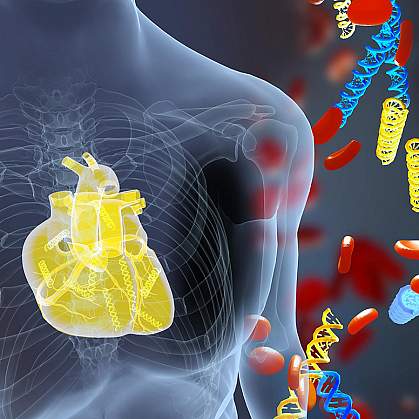 Illustration of DNA fragments and a heart in the human body