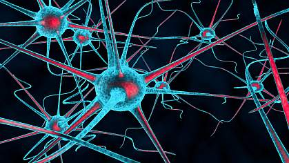 3D illustration of sensitized nerves