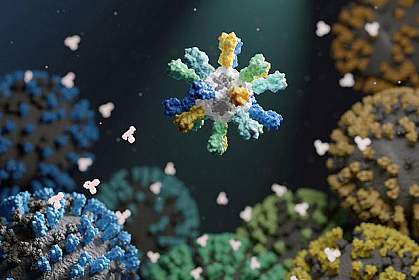 Nanoparticle with different colored proteins on surface