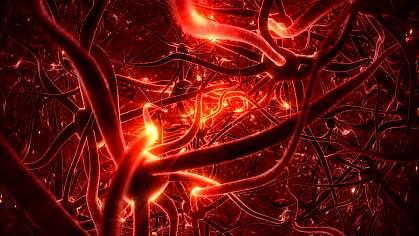 3D representation of pain signals being transmitted by nerve cells