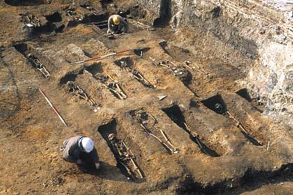 Rows of graves with buried skeletons uncovered 