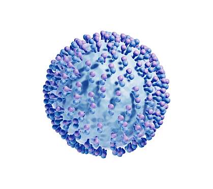 3D illustration of Hepatitis C virus
