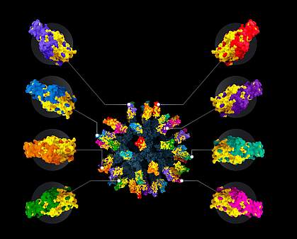 Illustration of nanoparticle vaccine with numerous different colored regions.