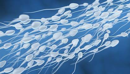 3D illustration of sperm swimming toward an egg