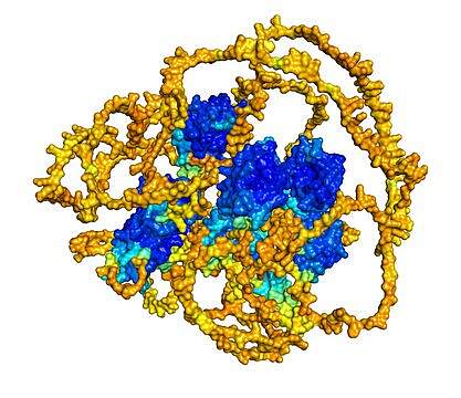 A 3D rendering of membrane-associated guanylate kinase, WW and PDZ domain-containing protein 1, as predicted by AlphaFold.