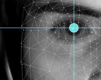 Photo of a face with a mesh drawn over the features and a blue circle over the pupil.