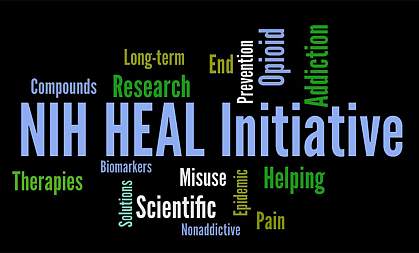 HEAL Initiative wordcloud