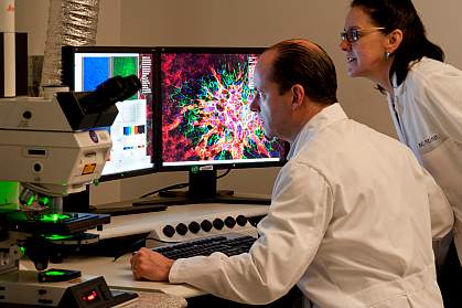 Two scientists observe ocular tissue samples under a laser scanning microscope.