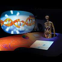 Genome: Unlocking Life's Code