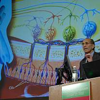 NIDCD 20th Anniversary Symposium