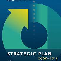 2009-2013 Strategic Plan