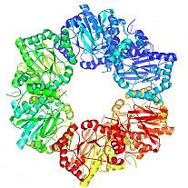 NIGMS's Protein Structure Initiative
