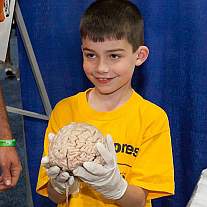 USA Science & Engineering Festival: Boy with Brain