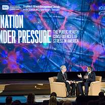2017 Straus Lecture on the consequences of stress 