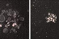 两张纸巾片的照片。左边的那个显示的是纯合子PKD突变的迷你肾，右边的那个显示了基因校正的杂合子。