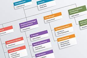 Nih Organizational Chart