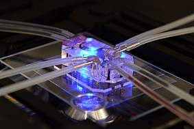 Lung on a Chip