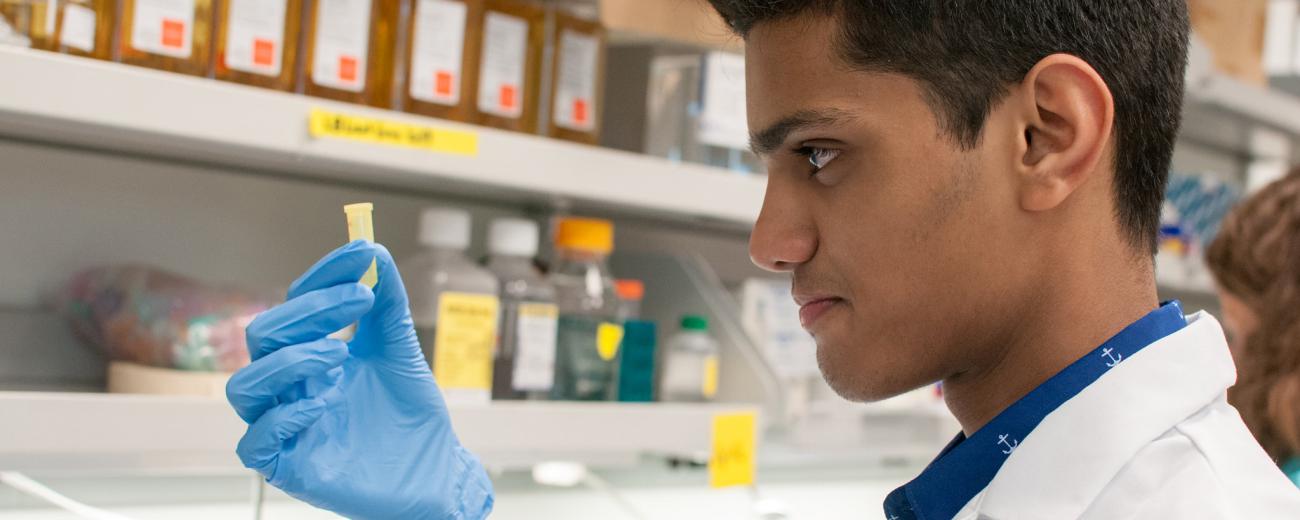 Researcher in a lab examining a specimin