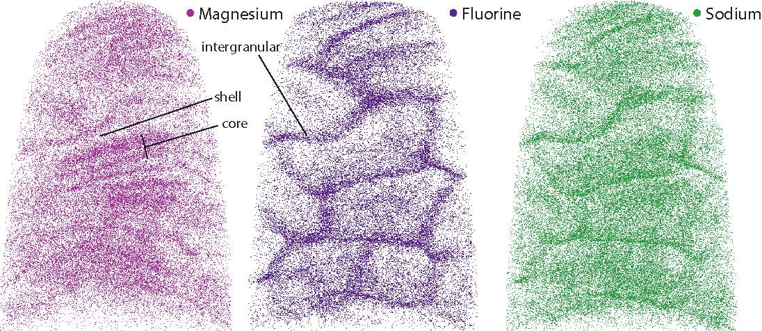 Rendering of a reconstruction of human enamel