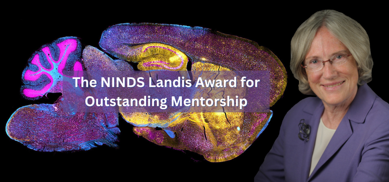 The NINDS Landis Award for Outstanding Mentorship