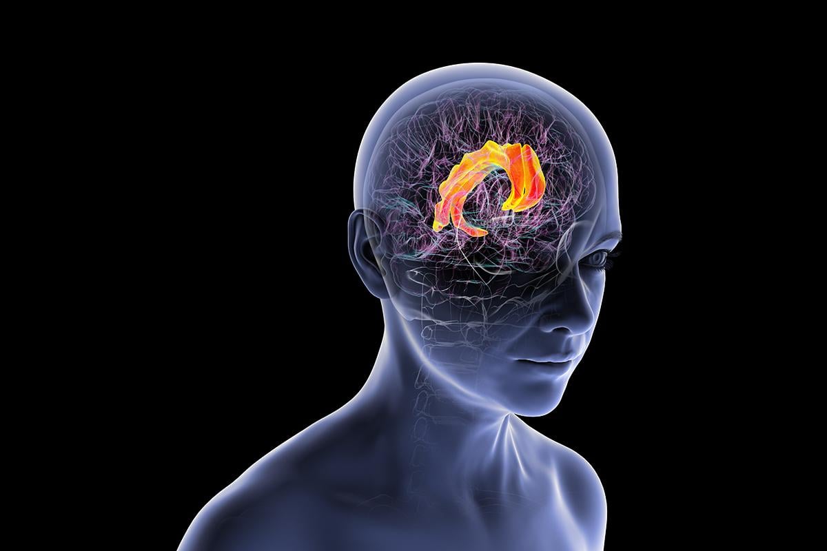 NIH Blueprint for Neuroscience Research: Computational Training in Neuroscience and Behavior (T90/R90)