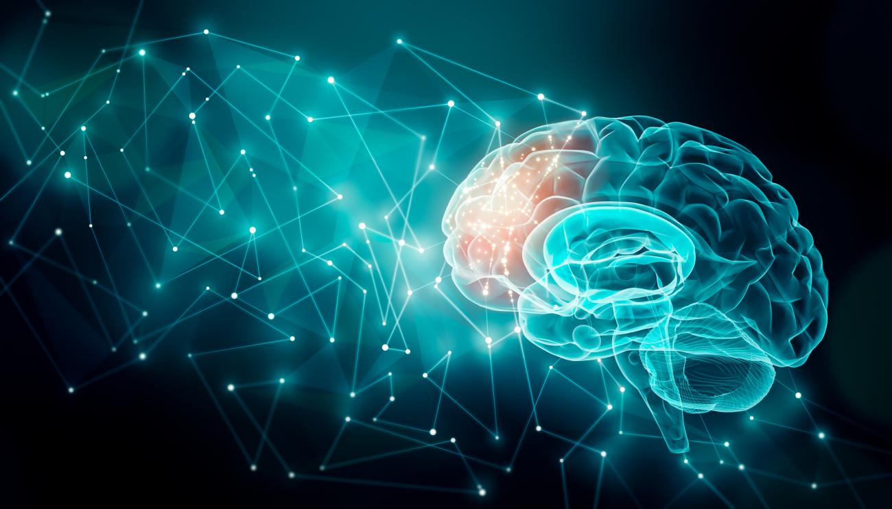 Gene activity in brain diseases mapped | National Institutes of Health ...