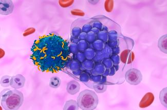 Engineering immune cells within the body