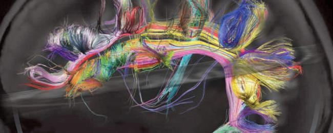 National Institutes Of Health Nih