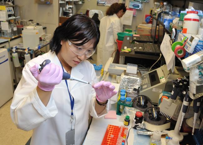Research fellow conducting research in a lab