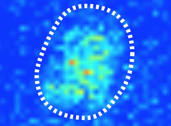 The brain’s internal clock continually takes its temperature | National ...