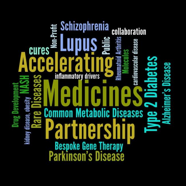 20211027-amp-new.jpeg Amp WordCloud