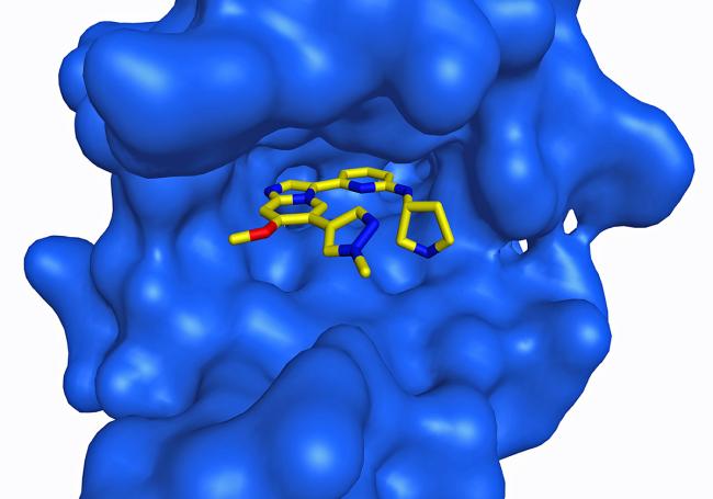 Illustration of the chemical structure of a compound sitting inside a protein.