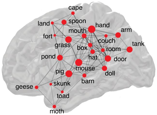 20200629-memorable-words.jpg Illustration of brain network