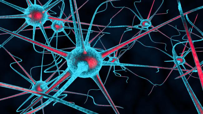 20210330-pain.jpg 3D illustration of sensitized nerves